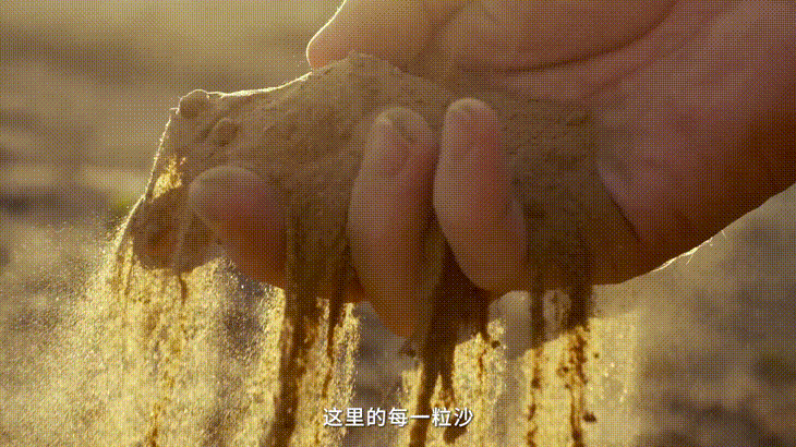 3.gif